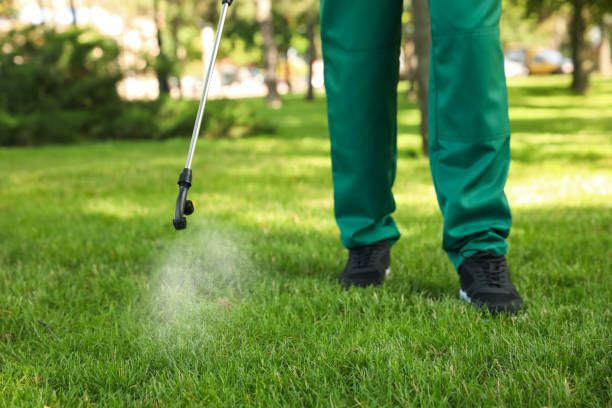 Best Pest Control Near Me  in Portsmouth, OH