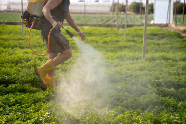 Best Local Pest Control Services  in Portsmouth, OH
