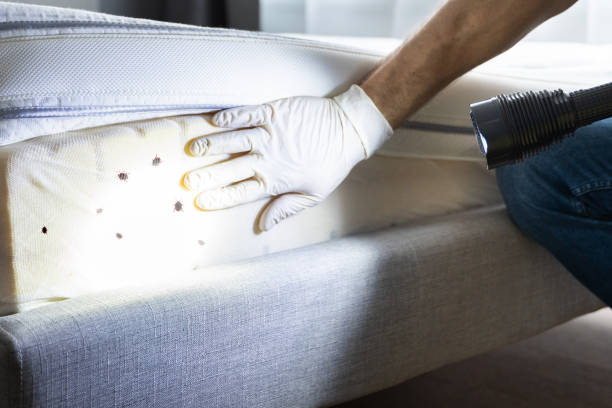 Best Pest Inspection Near Me  in Portsmouth, OH