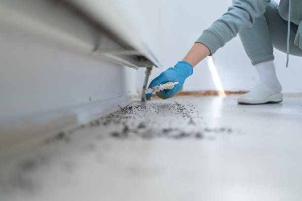 Best Affordable Pest Control Services  in Portsmouth, OH
